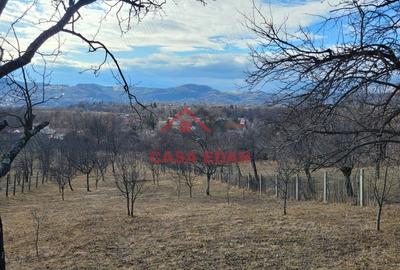 Casă cu Teren 2991 Mp în Cornu - 10