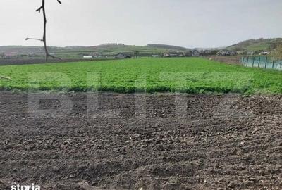 Casă cu 2 camere cu Teren 8291 Mp în Central