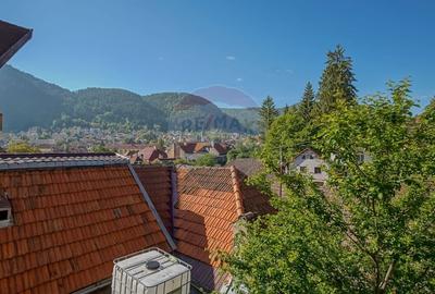 CASA 3 CAMERE CU 86 MP, BECI, POD SI CURTE | ZONA SCHEI - 33