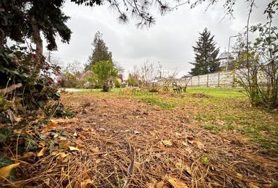 Vila de Vis in Corbeanca - Lux, Natura si Liniste, la un Pas de Lac! - 22