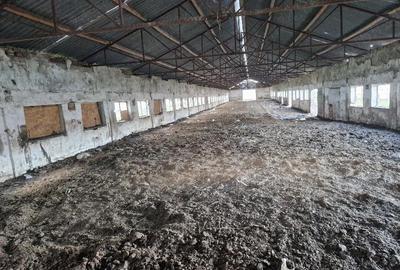 Teren de 15000 mp, în Cămărașu - 10