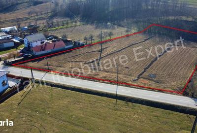 Teren de 5600 mp, în Băiculești - 3