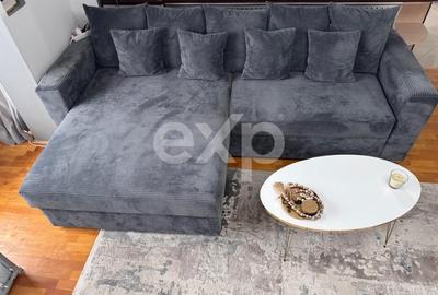 Apartament cu 3 camere decomandat, mobilat în Teilor - 10