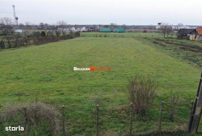 Teren de 2623 mp, în Nojorid - 5