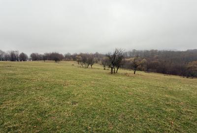 Teren de 35000 mp, în Cisnădioara - 3
