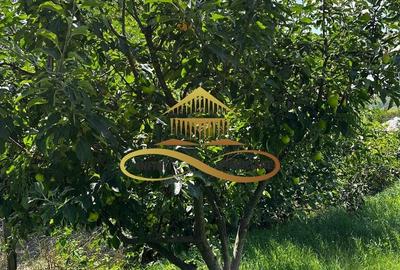 Casă individuală cu 3 camere cu Canalizare în Secuieni - 17