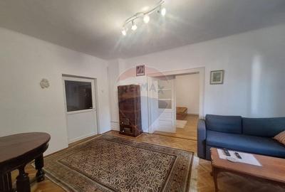 Doua case de vanzare in aceeasi curte, in zona Sub Arini - 1