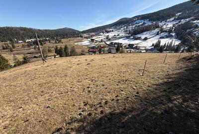 Teren Construcții intravilan de 12500 mp, în Galbena - 7