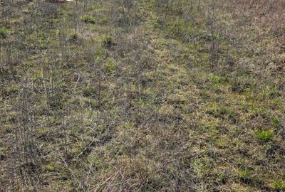 Teren de 400 mp, în Exterior Vest - 10