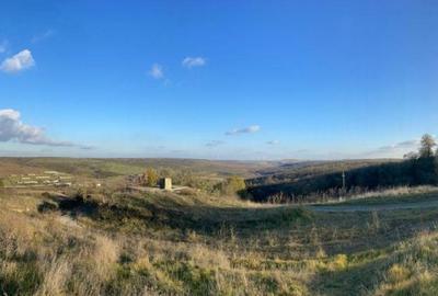 Spațiu comercial, în Rasova - 2