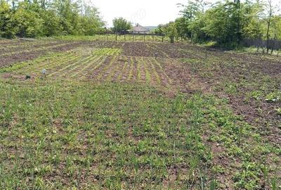 Teren de 2580 mp, în Potângeni - 3