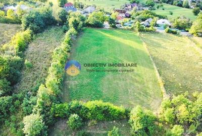 TEREN intravilan  3511 mp - BĂLȚĂTEȘTI - 10