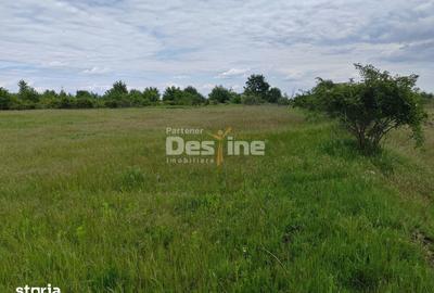 Teren de 114000 mp, în Ariceștii Rahtivani - 11