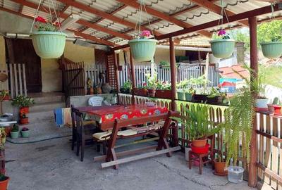 Casă cu 4 camere cu Teren 2200 Mp în Lugoj - 3