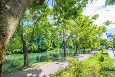 Teren generos si casa deosebita langa Parcul Central - oportunitate rara in Cluj - 15