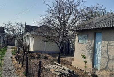 Casă cu 4 camere cu Teren 1934 Mp în Piscu - 3