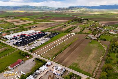 Teren Construcții intravilan de 5000 mp, în Nord-Est - 4