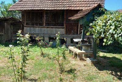 Casă cu 2 camere în Văgiulești - 4