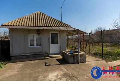 Casă cu 3 camere cu Teren 1461 Mp în Ceamurlia de Jos - 13