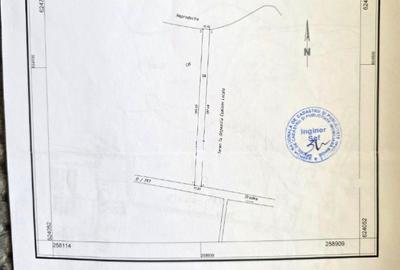 Teren agricol extravilan de 6800 mp, în Sântandrei - 4