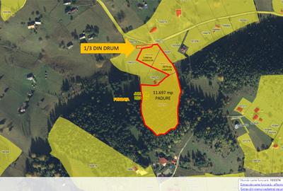TEREN INTRAVILAN-EXTRAVILAN SPECTACULOS LANGA RESORTUL CHEILE GRADISTEI -FUNDATA - 18