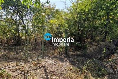 Teren intravilan de vanzare in Iasi, amplasat in zona Holboca-Ruseni - 3