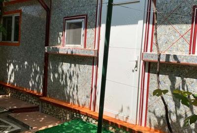 Casa vacanza Iepuresti(Giurgiu) - 8