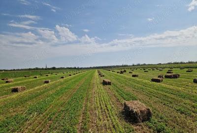 Casă cu 4 camere cu Teren 20000 Mp în Movileni - 1