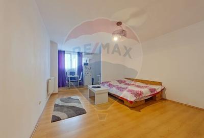 Apartament cu 1 camere semidecomandat, mobilat în Mănăștur