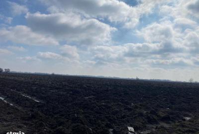 Teren de 9103 mp, în Răzvad - 2