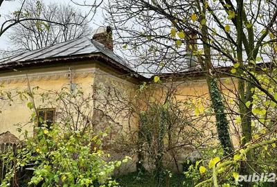 Casă cu 3 camere cu Teren 1543 Mp în Giurgița - 2