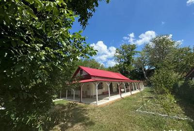 Casa de vacanta - 3