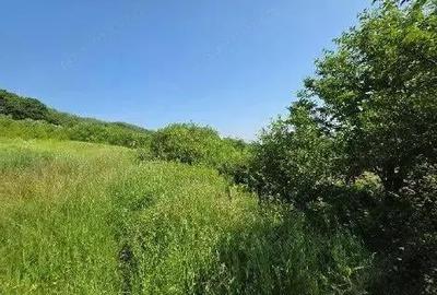 Teren Duda Epureni, ID: R2609594 - 10