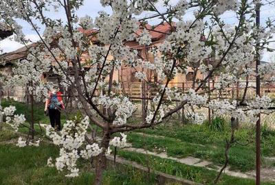 Schimb sau vand casa in com.Runcu.sat BALTiSOARA. - 2