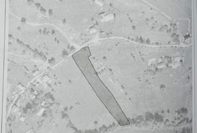 Teren 3.486 mp la drum Iacobeni (Dandoaia) CF + cadastru - 2