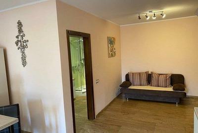 Studiou de lux cu balcon 40 mp utili in zona Centrala Studiou de lux cu balcon 40 mp utili in zona Centrala - 3