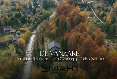 Casă individuală cu 17 camere cu Teren 7000 Mp în Avrig - 1
