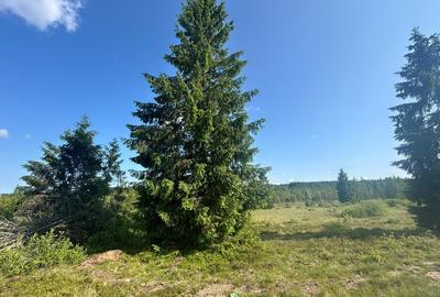 Teren Belis 1000mp - 2