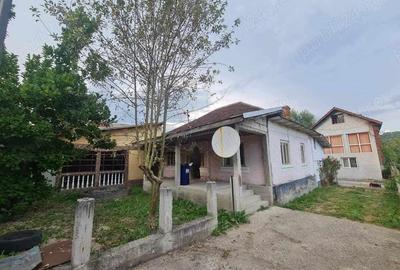 Casa Govora Sat - Gurisoara , 2 case in aceeasi curte , vand sau schimb Casa Govora Sat - Gurisoara , 2 case in aceeasi curte , vand sau schimb - 7