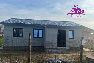 Casă cu 3 camere cu Teren 602 Mp în Gepiu - 9