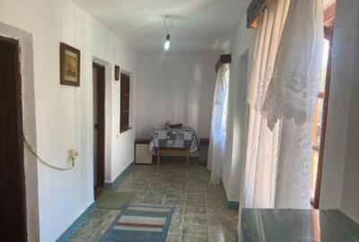 Casa 133 mp utili, 3300 mp teren, Ciutura - 4