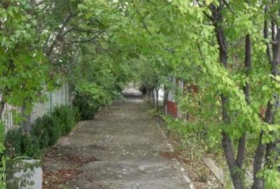 Casă cu Teren 2350 Mp în Izvorani - 9