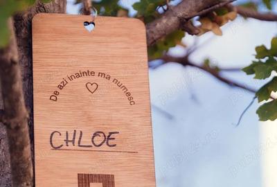 Apartament 3 camere nou, 84 mp S.utila, zona Lacul Straule?ti-Mall Colosseum, Sector 1 Apartament 3 camere nou, 84 mp S.utila, zona Lacul Straule?ti-Mall Colosseum, Sector 1 - 19