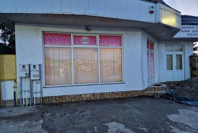 Spațiu comercial, de 90 mp, în Valea Moșneagului - 1