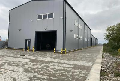 Hala de inchiriat - 3