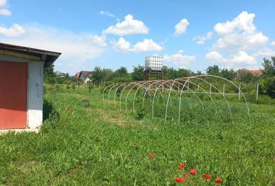 1.528 mp deschidere 24 m toate utilitățile Măgurele, Strada Trifoiului - 2