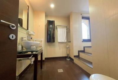 Apartament cu 5 camere decomandat în Domenii - 17