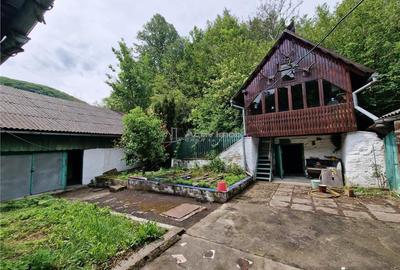 Anina Steierdorf Casa pentru 2 familii la Sosea - 5