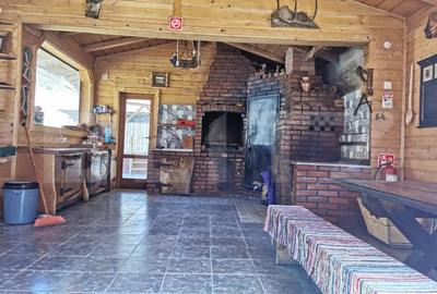 Cabana/Casa de vacanta in Molid, SV, 136 mp, teren cu 3300 mp, Iaz cu pesti - 10