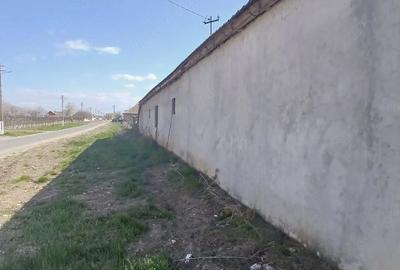 Casă cu 3 camere cu Teren 1350 Mp în Pilu - 6